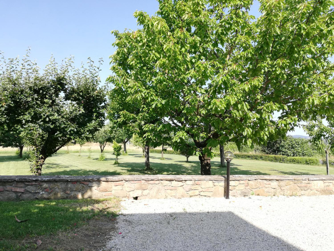 Others 4, Il papavero verde, Arezzo
