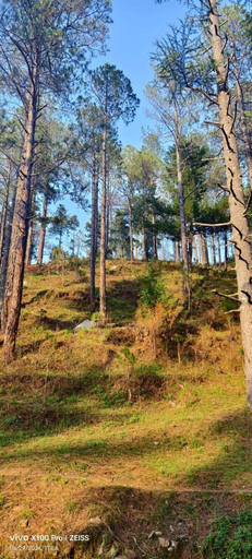 Others 4, Emerald Woods Mukteshwar, Nainital