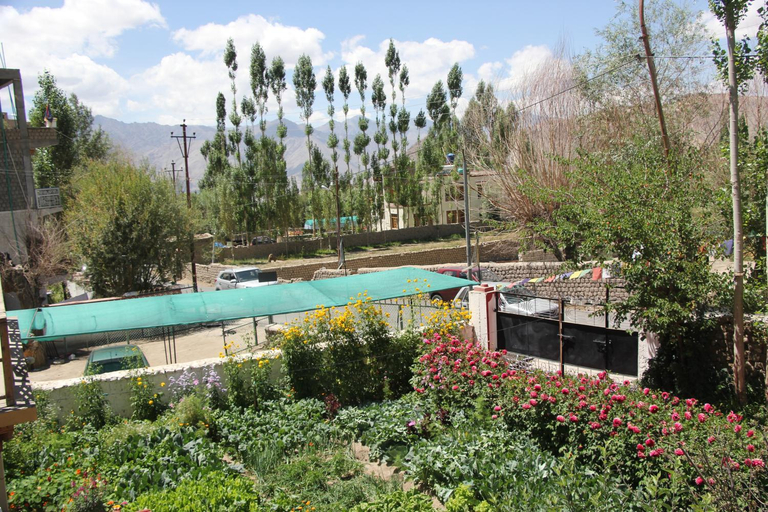 View 5, New Moon Guest House, Leh