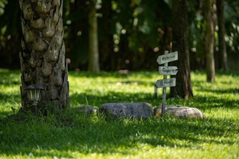 Others 5, Forest Bed and Breakfast(Pet friendly), Hualien