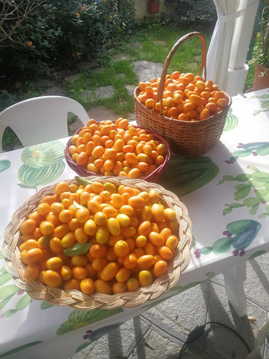 Food & Drinks, Comodo con giardino e patio, Imperia
