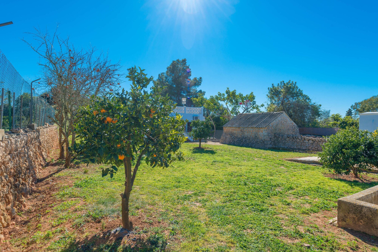 Room 4, Las Piedras in Llucmajor, Baleares