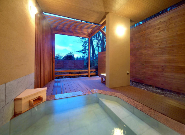 Hot spring bath 4, Kusatsu Onsen Yunone no Mori, Kusatsu