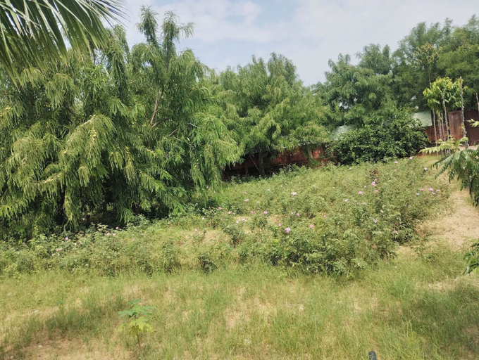 Garden 4, Janardan Resort Pushkar, Nagaur
