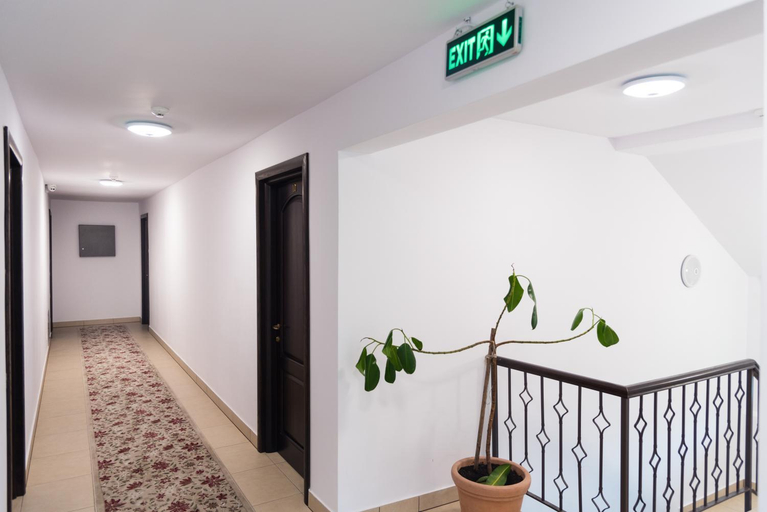 Others 5, Casa Bradul Voronet, Gura Humorului