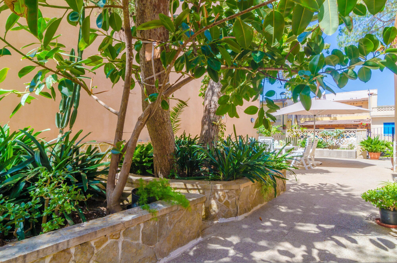 Room 3, Can Pedro Ros in S Illot-cala Morlanda, Baleares