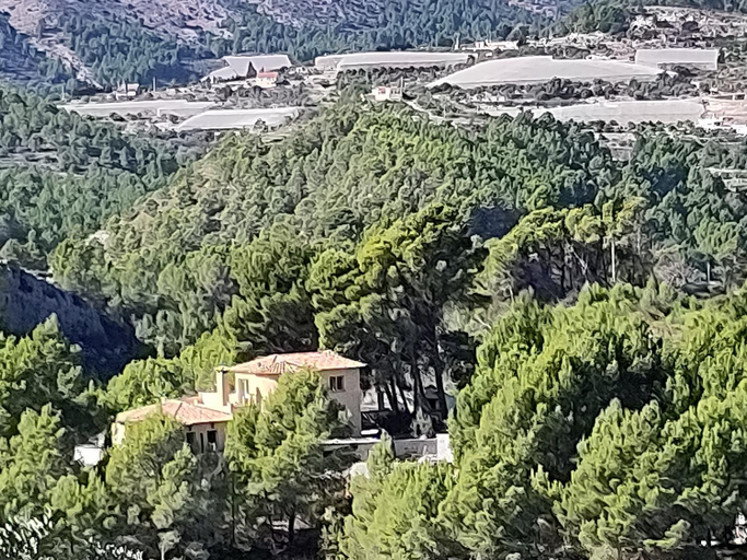 Others 4, Finca Caracol, Alicante