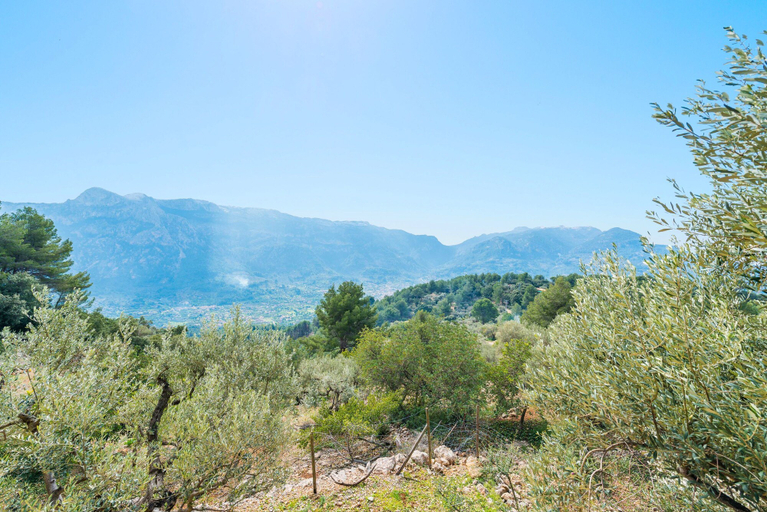 Others 5, S Olivaret Fornalutx, Baleares
