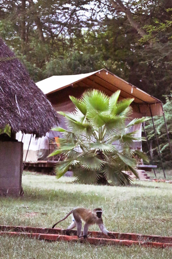 Others 5, Enkara Lodge, Monduli