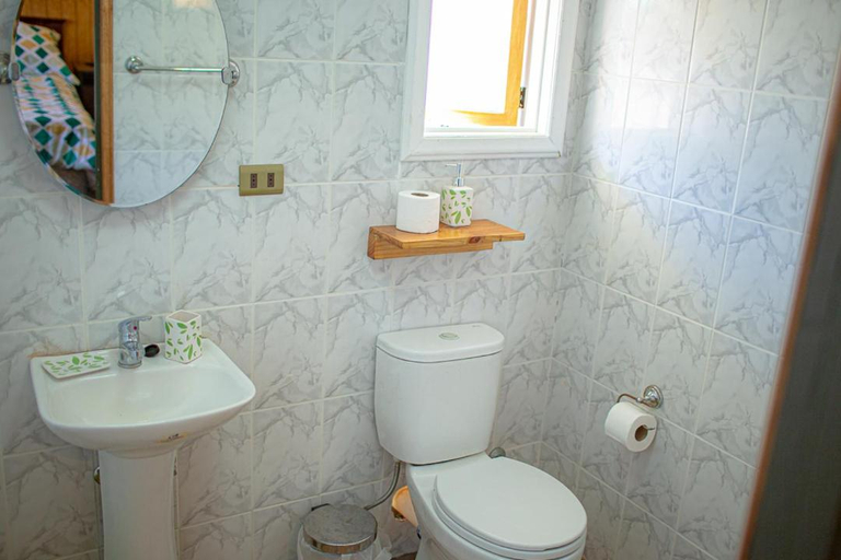 Bathroom, Roble Austral Hostal, Coihaique