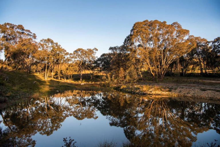 Others 4, Sunstone - 2 Bed Eco Cabin - Kundalini Lodge, Mid-Western Regional - Pt A