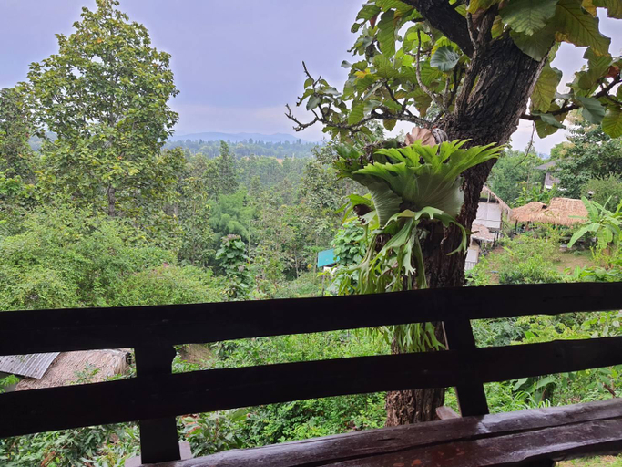 Scenery 7
