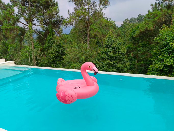 Swimming Pool 18