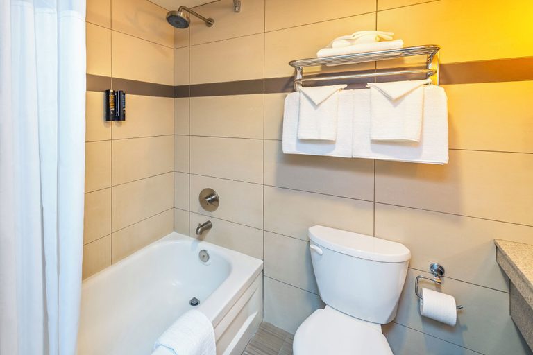 Bathroom 4, Banff Inn, Division No. 15