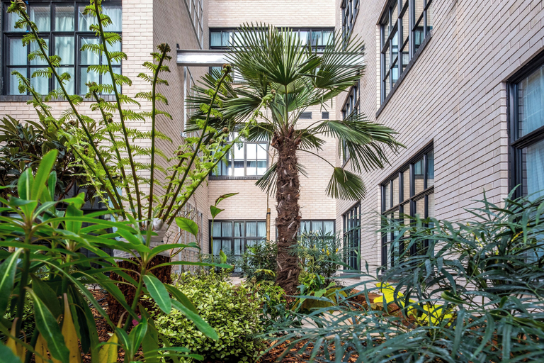 Exterior & Views 2, Second Nature London Chiswick, London