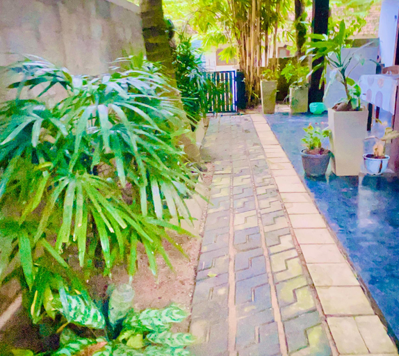 Sport & Beauty, Unakuruwa Ravenala Homestay, Tangalle