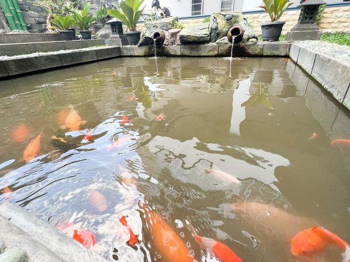 Others 5, RedDoorz Syariah @ Prisma Homestay, Wonosobo