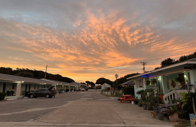 Swell Motel, Dare