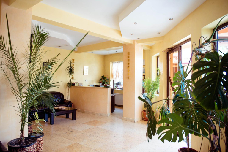 Public Area 2, Hotel Roberto Slanic Prahova, Slanic