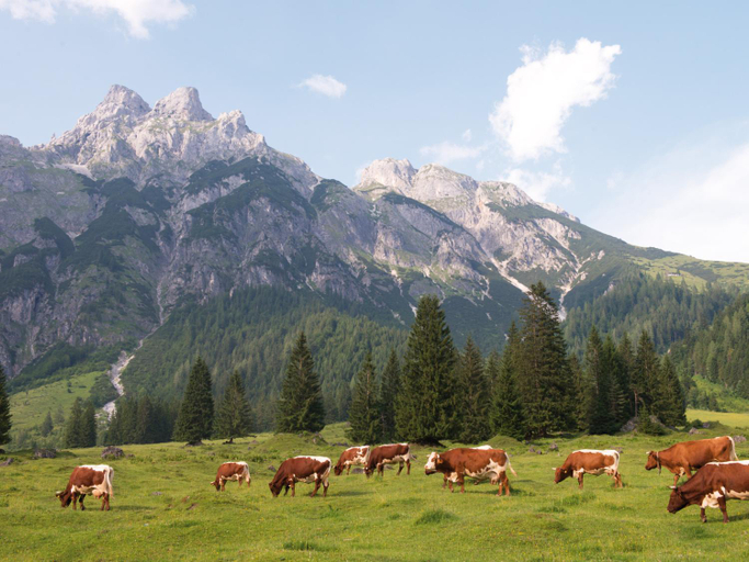 Others 5, Ferienwohnungen am aja Bergresort Werfenweng, Sankt Johann im Pongau
