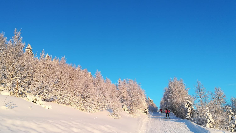 Others 4, Gamlestølen Fjellstue, Etnedal