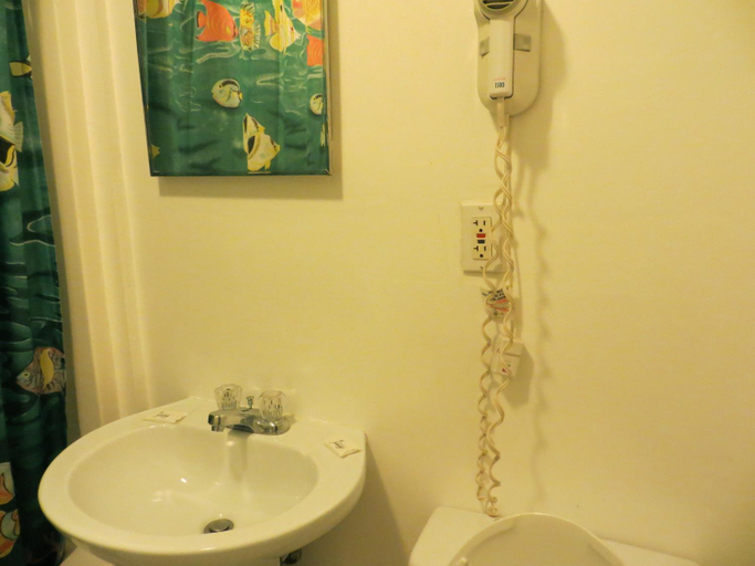 Bathroom 2, Skyway Motel, Volusia