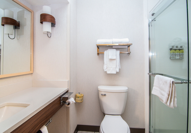 Bathroom 2, Holiday Inn Express Kalispell by IHG, Flathead