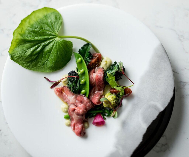 Food & Drinks 26