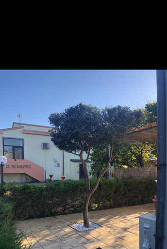 Others 5, Il Ginepro, Sassari