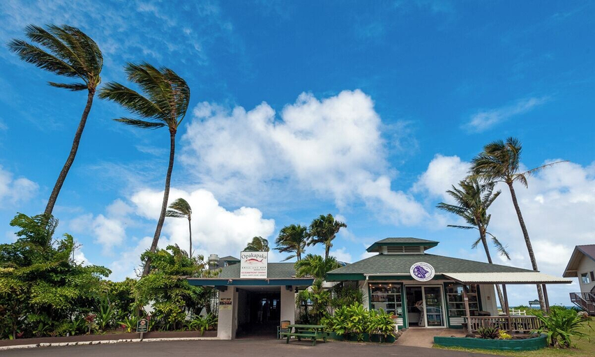 Exterior & Views 2, Hanalei Colony Resort F3, Kauai