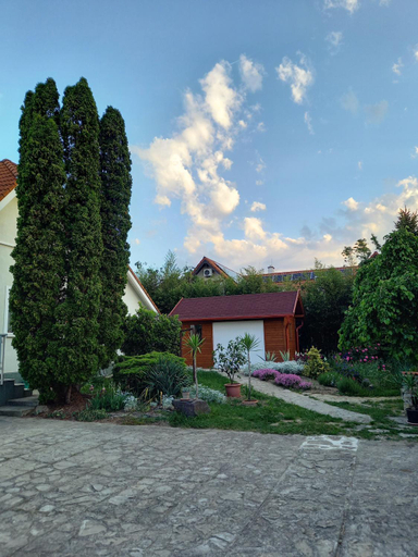 Others 3, Hevizi fecskefeszek, Hévíz/Keszthely