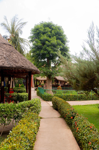 Others 4, Le Baobab, Bamako