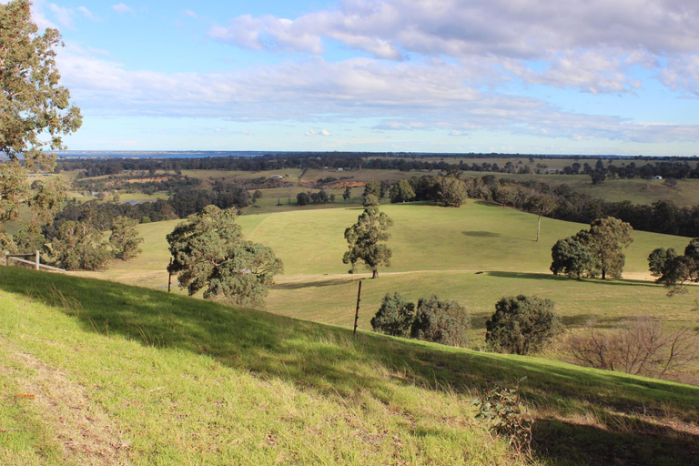 Scenery 2