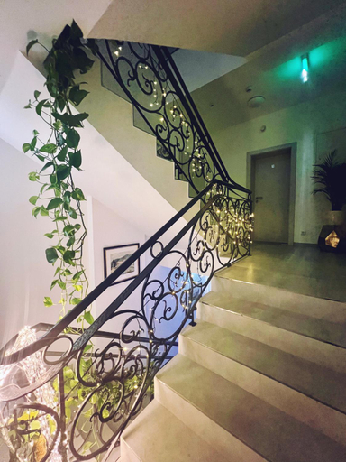 Others 5, Hotel Genta, Salzburg