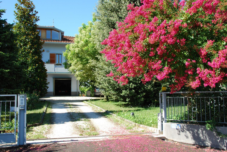 Others 5, Bianco Nuvola, Pesaro E Urbino