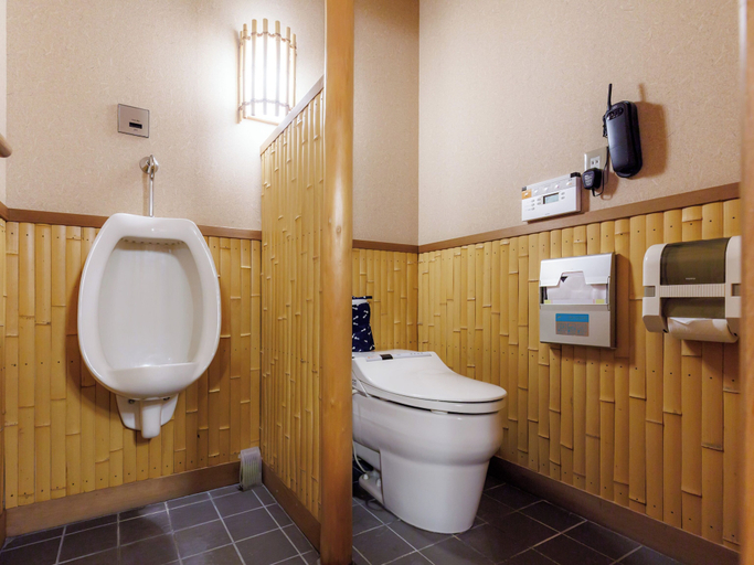 Bathroom 4, Chikuba Shinyotei, Hakodate
