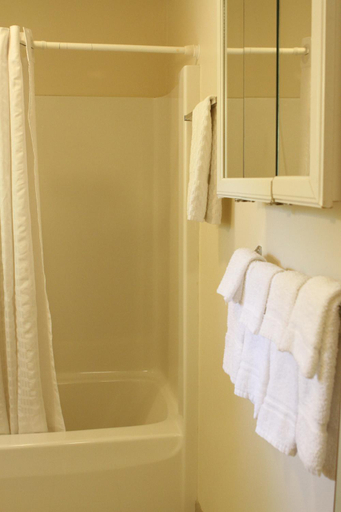 Bathroom 2, Bay Lodging Resort, Ottawa