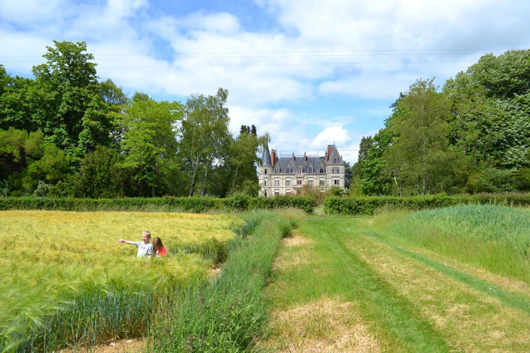 Chateau Le Boisrenault, Indre