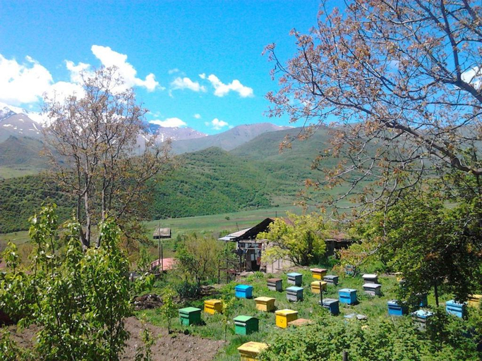 Others 2, Anush`s B&B