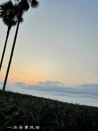 Others 4, Gaodiyuan Tea B&B, Chiayi County