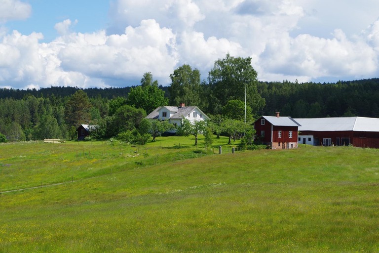 Others 2, The Sheep Inn B&B, Arvika