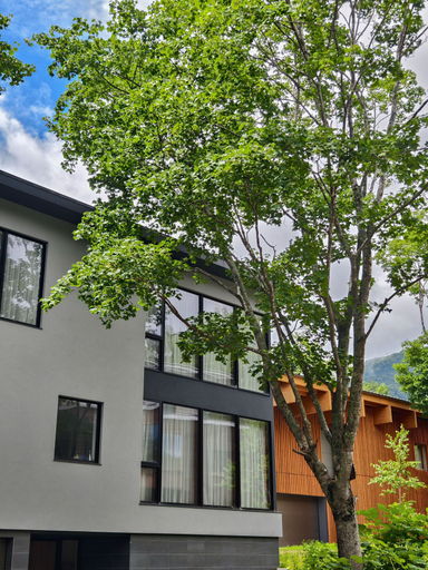 Exterior & Views 4, Villa Yin Niseko, Kutchan
