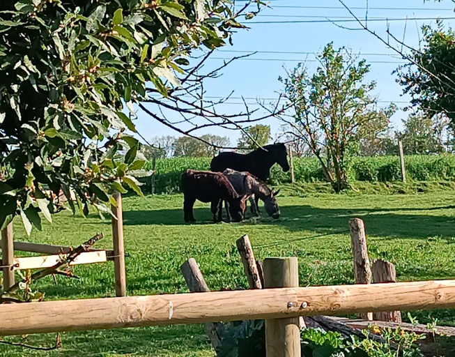 Others 2, Domaine de karoli, Eure