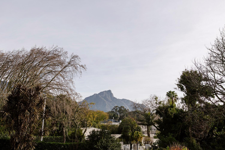 Others 4, Chambery, City of Cape Town