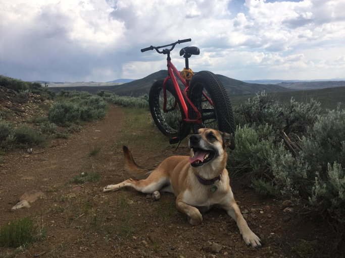 Others 1, The Wanderlust Hostel, Gunnison