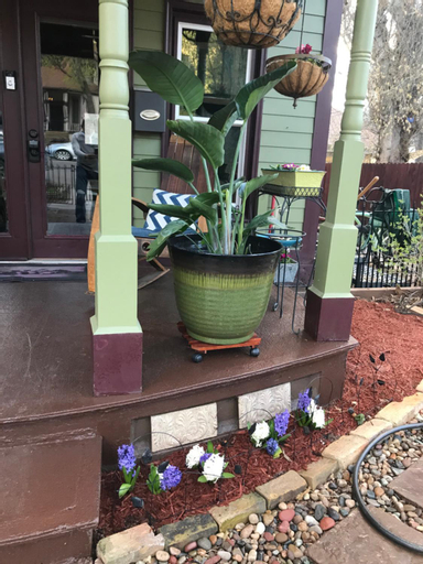 Downtown B&B with Jacuzzi, Garfield