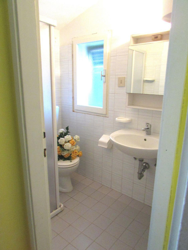 Bathroom 3, Fiori, Venezia