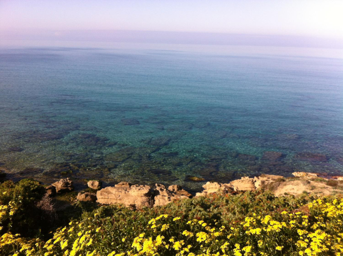 Others 4, Il Ginepro, Sassari