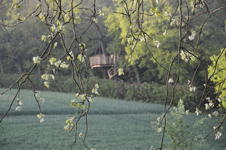 Bed and Breakfast - Chateau du Vau, Indre-et-Loire