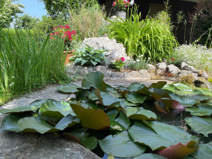 Others 5, Green Oasis Garden, Šenčur